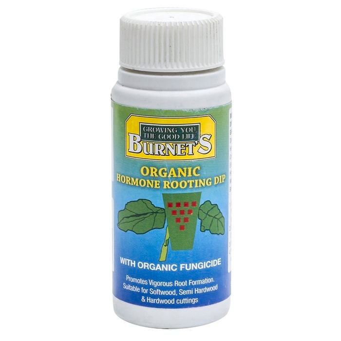 Burnet's 50g Rooting Hormone Dip
