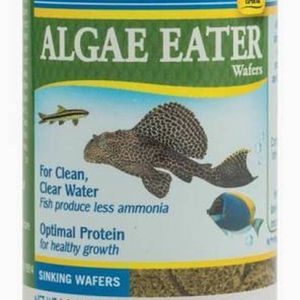 API Algae Eater Wafers 105g
