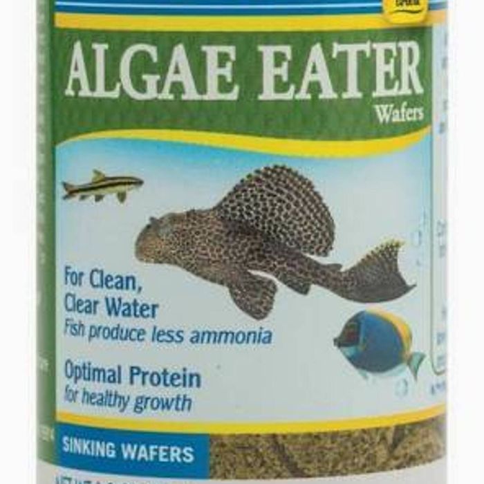 API Algae Eater Wafers 105g
