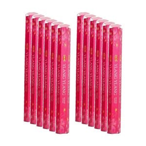 12PK HEM Home Fragrance Scented Smelling Incense Sticks Packet Set Ylang-Ylang
