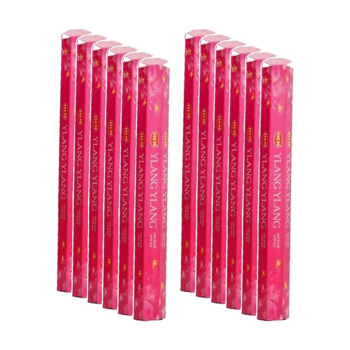 12PK HEM Home Fragrance Scented Smelling Incense Sticks Packet Set Ylang-Ylang