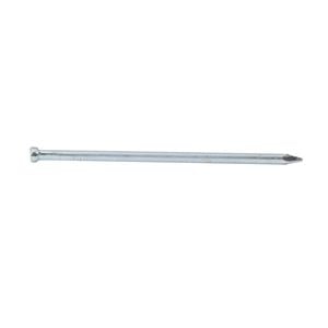 NZ Nails Panel Pin 50x2.00mm  5kg 316 S/S