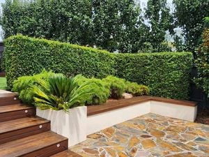D.I.Y. - Header - How one family turned an overgrown backyard into a dream family space