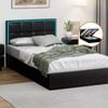 Oikiture Bed Frame RGB LED Gas Lift King Single Black