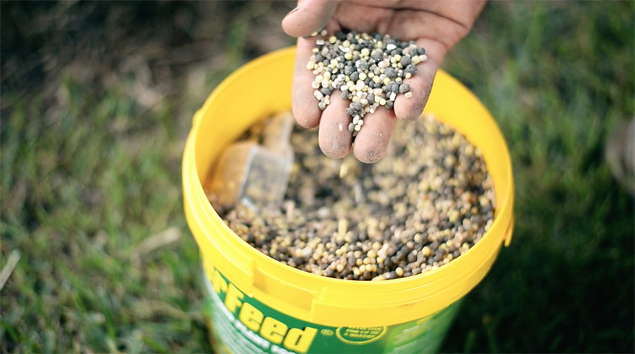 A handful of Power Feed plant food