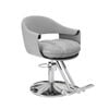 Lauft Grey Salon Stool Swivel Chair Backrest Barber Hair Dresser Hydraulic Lift