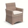 Coco Outdoor Wicker And Teak Dining Arm Chair