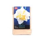 Yarra Valley Bulbs Daffodil White Lion - 3 Pack