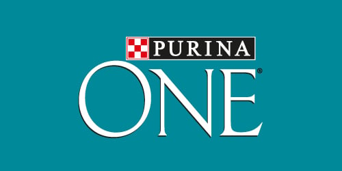 ONE brand logo.