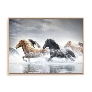 Artey | Horse Run V - Framed Canvas - Natural Frame - 112 x 150cm