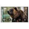 Winways Ust Throw Alr Solid Panel Fresnel Screen 88"