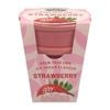 Mr Fothergill’s Strawberry Ice Cream Flavour Grow Kit