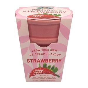 Mr Fothergill’s Strawberry Ice Cream Flavour Grow Kit