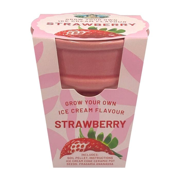 Mr Fothergill’s Strawberry Ice Cream Flavour Grow Kit