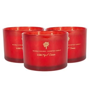 Soy Wax Scented Candles - 350g - Wild Fig & Cassis - Pack of 3 - Double Wick Autumn Scent Jars - Long Burn Seasonal