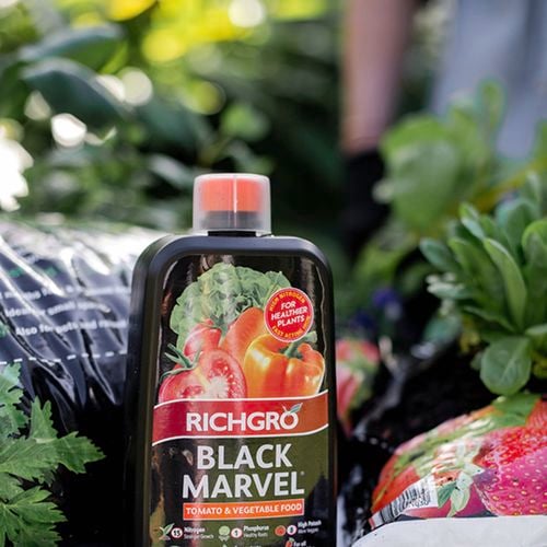 Richgro image 5