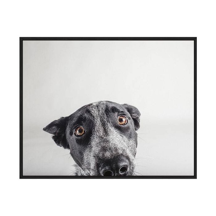 Artey | Blue Zuck - Framed Canvas - Black Frame - 40 x 50cm