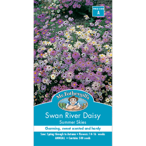 Mr Fothergill's Swan River Daisy Summer Sky Flower Seeds