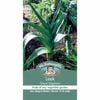 Mr Fothergill's Leek Elephant Vegetable Seeds