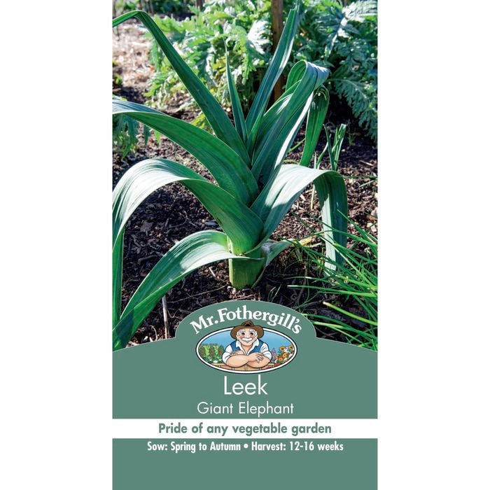 Mr Fothergill's Leek Elephant Vegetable Seeds
