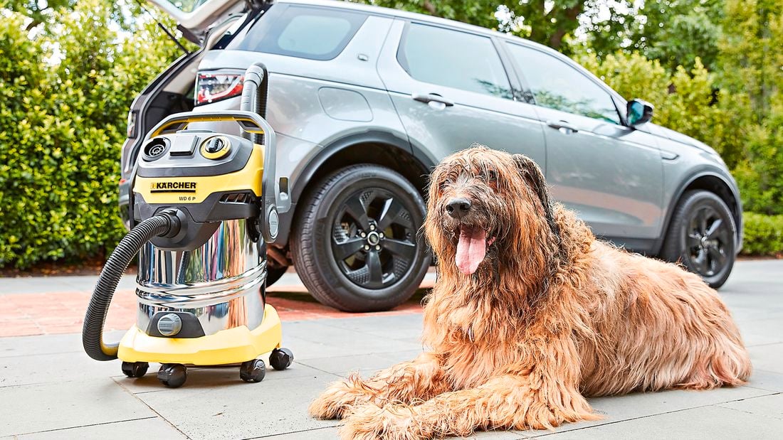 Close up of a dog sitting down next to a Karcher vacuum cleaner and a car with an open boot in the background