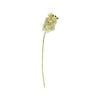 65cm Green Orchid Artificial Flower