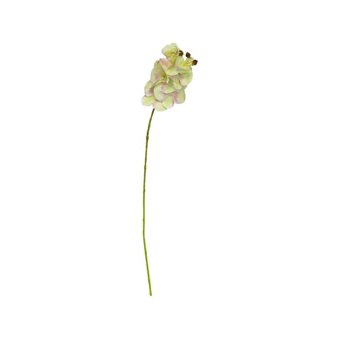 65cm Green Orchid Artificial Flower