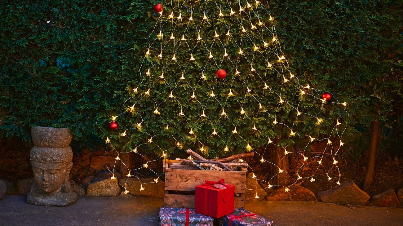 A string of fairy lights in the shape of a Christmas tree against a hedge at night
