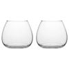 2PK Ecology Fleur Bouquet Glass Vase Decorative Flower Vessel 18cm