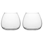 2PK Ecology Fleur Bouquet Glass Vase Decorative Flower Vessel 18cm