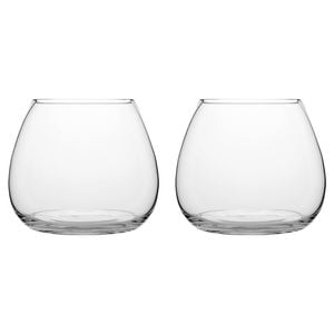 2PK Ecology Fleur Bouquet Glass Vase Decorative Flower Vessel 18cm