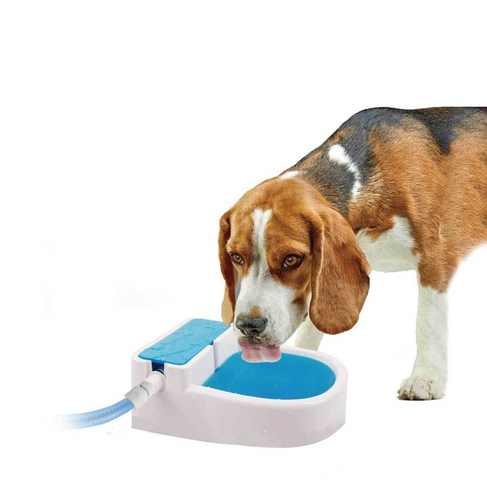 Auto Filling Dog Drinking Water Fountain Outdoor Automatic Bunnings Australia