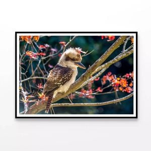 Bird On Branch Red With Flower  Print 100% Australian Made 90x60cm  (poster)