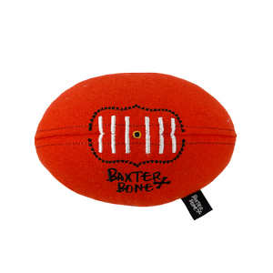 Baxter Bone Football Toy
