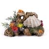 Kazoo Action Clam W/coral & Plants (18914)