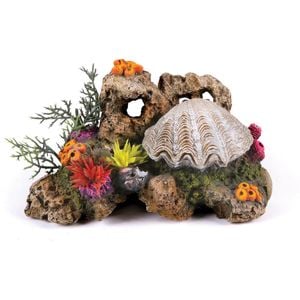 Kazoo Action Clam W/coral & Plants (18914)