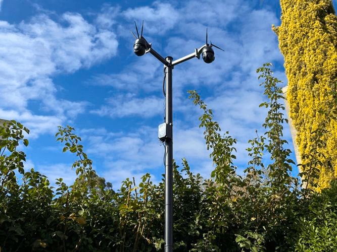 monkey vision tracker camera on a hedge