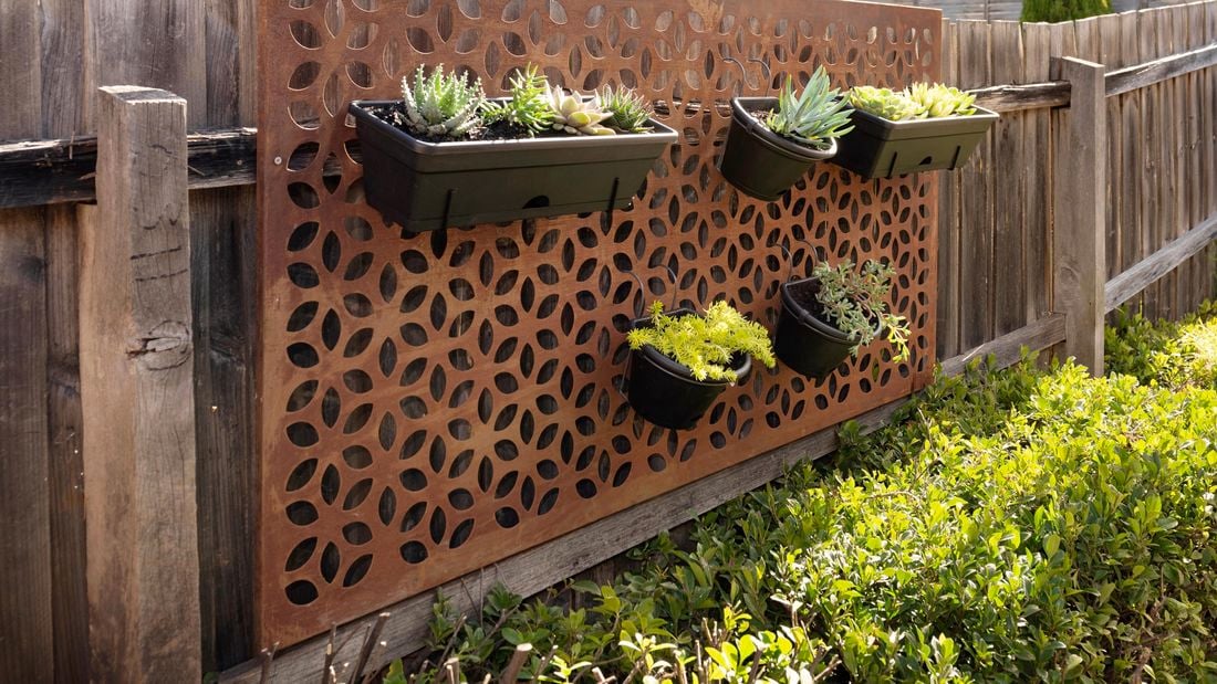 Potted plants hanging on a steel screen on a paling fence