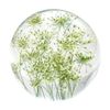 Leni Handcrafted Floral Resin Sphere W/ Real White Lace Flowers Clear 8x7.5cm