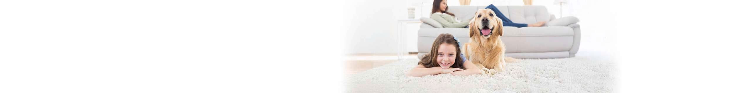 Header image of the Rug doctor brand page