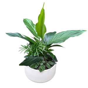 180mm Foliage Garden Designer Bowl 