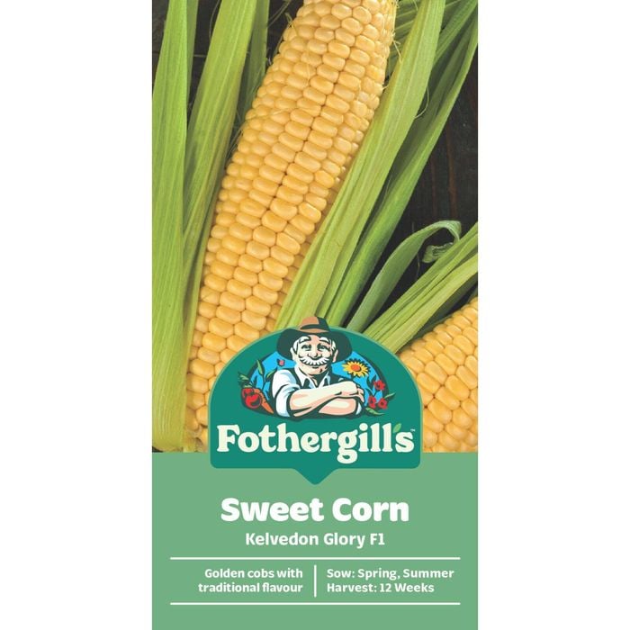 Fothergill's Kelvedon Glory Sweet Corn Vegetable Seeds