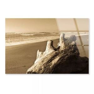 Old Log Driftwood & Sea  Print 100% Australian Made 50 x 40cm  (Acrylic)