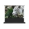 Winways UST Throw ALR 120'' Electric Lenticular Floor Rising Screen