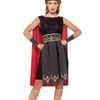 Roman Warrior Womens Plus Size Gladiator Costume - Xlarge