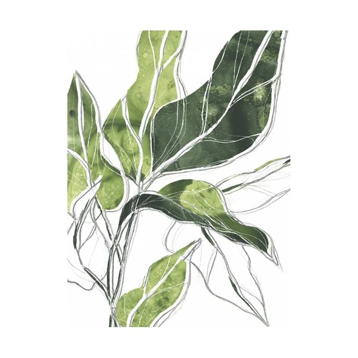 Artey | Expressive Palm III - Stretched Canvas - Stretched Canvas - 60 x 80cm
