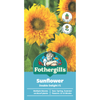 Fothergill's Sunflower Double Delight F1 Seeds