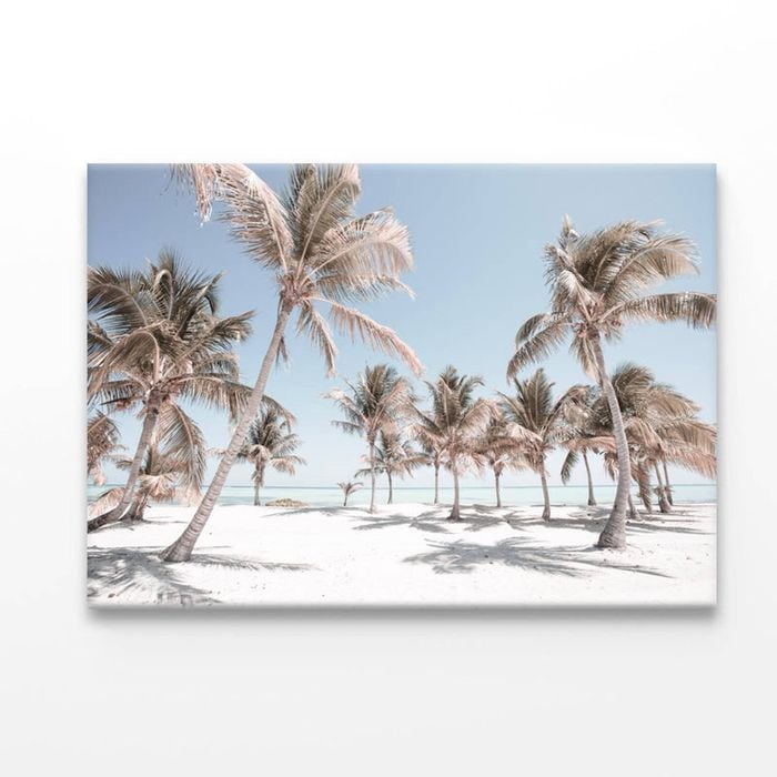 Palm Trees and Sandy Beach   Print 100% Australian Made 90 x 60cm  (Acrylic)