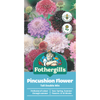 Fothergill's Pincushion Scabious Mixed Seeds