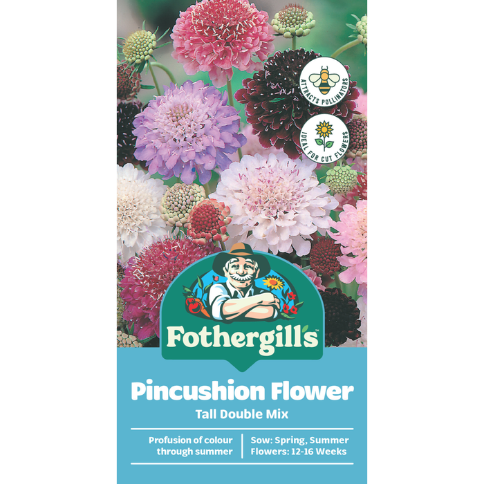Fothergill's Pincushion Scabious Mixed Seeds
